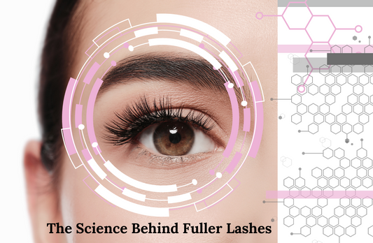 Widelash™: The Science Behind Fuller Lashes