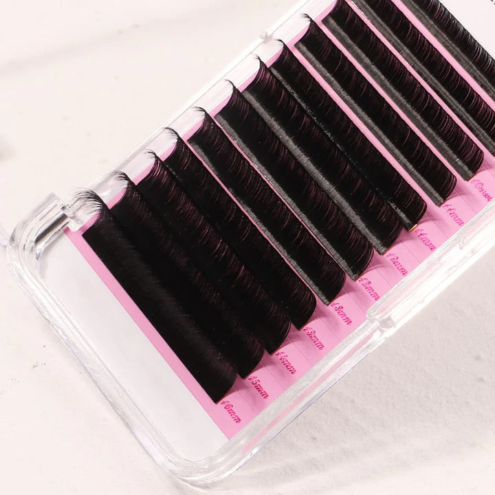 Premium Eyelash Extensions